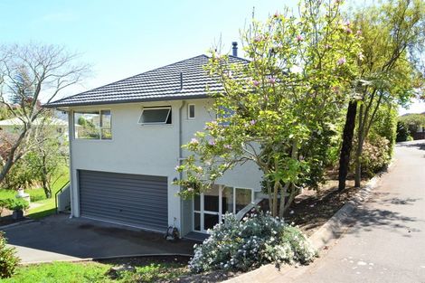 Photo of property in 31 Blair Terrace, Richmond, 7020