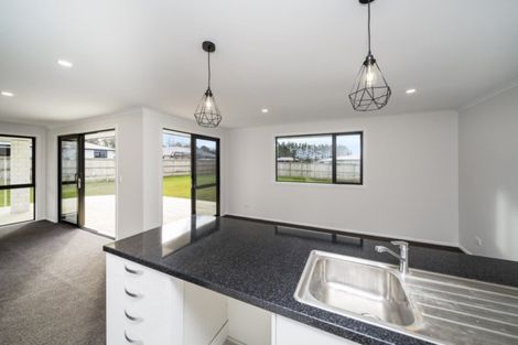 Photo of property in 12 Biron Place, Stratford, 4332