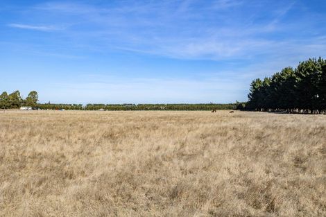 Photo of property in 335 Main Race Road, Eyrewell, Rangiora, 7476