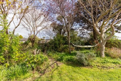 Photo of property in 18 Utauta Street, Waikanae, 5036