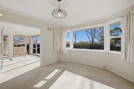 Photo of property in 21 Ngahere Street, Otumoetai, Tauranga, 3110