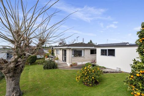 Photo of property in 128 Boucher Avenue, Te Puke, 3119