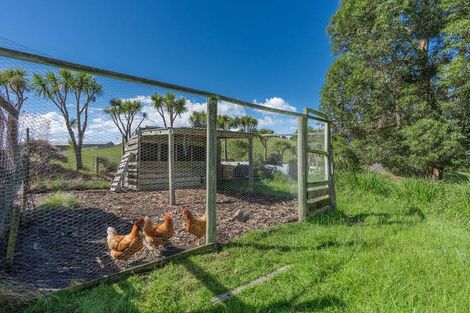 Photo of property in 47 Big Stone Road, Brighton, 9091