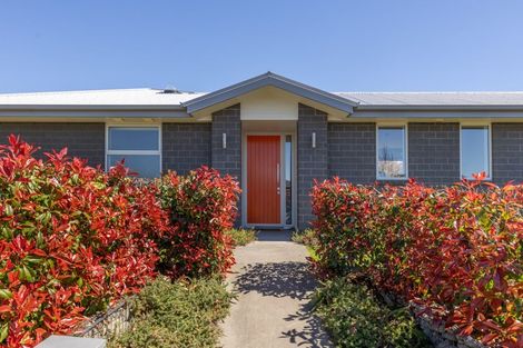 Photo of property in 27 Pegasus Main Street, Pegasus, 7612