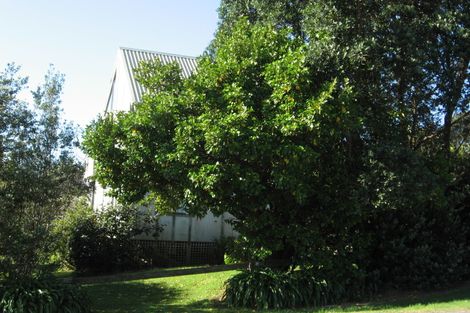 Photo of property in 865 Black Jack Road, Opito Bay, Whitianga, 3592