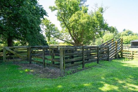 Photo of property in 273 Peake Road, Pukemoremore, Cambridge, 3493