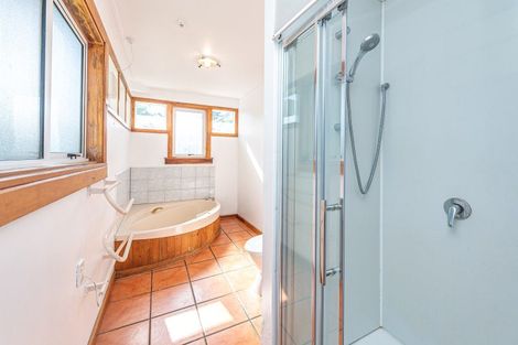 Photo of property in 100 Puriri Street, Gonville, Wanganui, 4501