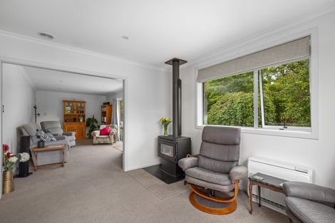 Photo of property in 569 Dunstan Road, Alexandra, 9391