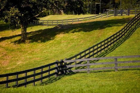 Photo of property in 196c Pukemapu Road, Oropi, 3173