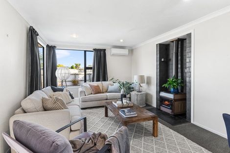 Photo of property in 6 Willow Street, Hampstead, Ashburton, 7700