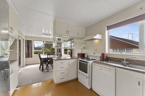 Photo of property in 35 Leefield Street, Blenheim, 7201