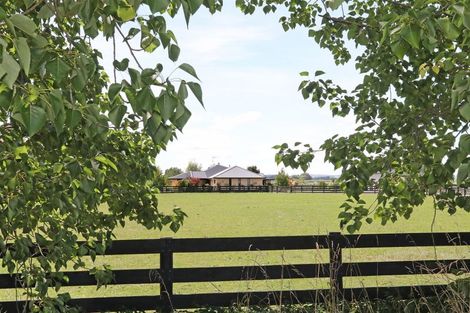 Photo of property in 255 Calico Line, Marton, 4787