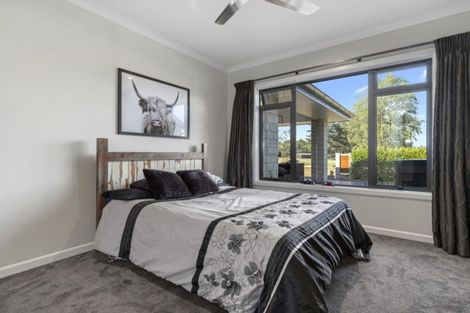 Photo of property in 7 Tralee Place, Morrinsville, 3300