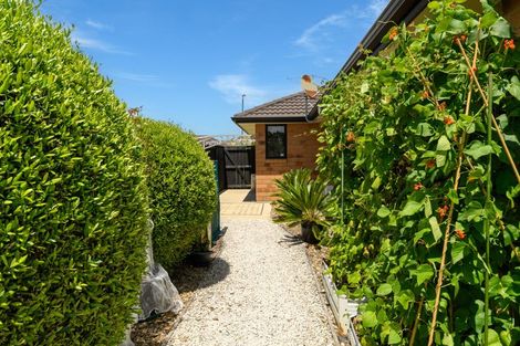 Photo of property in 46 Carrington Drive, Papamoa Beach, Papamoa, 3118