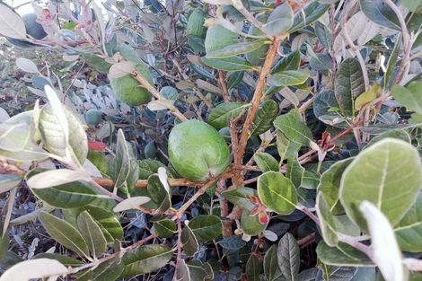 Photo of property in 22 Ferry Street, Wyndham, 9831