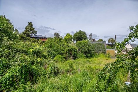 Photo of property in 16 Oxford Street, Lansdowne, Masterton, 5810
