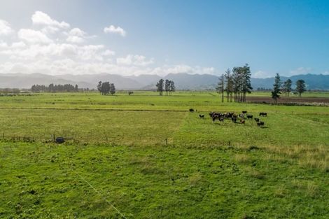 Photo of property in 65 Gumtown Road, Turua, Thames, 3574