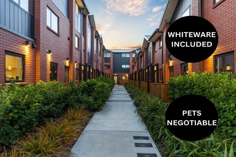 Photo of property in 3/259 Gloucester Street, Christchurch Central, Christchurch, 8011