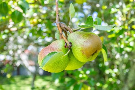 Photo of property in 68 Watt Street, Coromandel, 3506