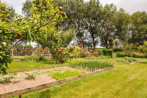 Photo of property in 361 Warrens Road, Marton, 4788