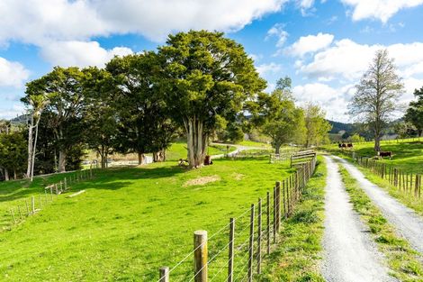 Photo of property in 251 Griffin Road, Maungaturoto, 0583