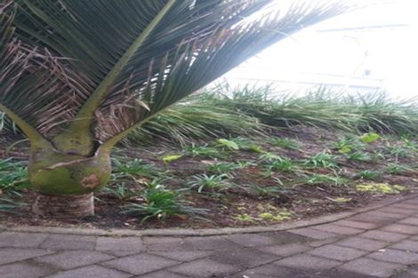 Photo of property in 47 Wairau Road, Oakura, 4314