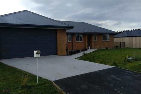 Photo of property in 7 Denton Street, Amberley, 7410