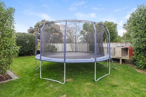 Photo of property in 6 Higgin Place, Feilding, 4702