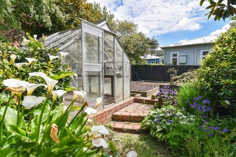 Photo of property in 24 Sandringham Street, Saint Clair, Dunedin, 9012