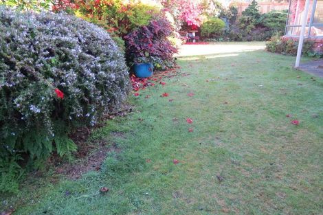 Photo of property in 8 Belvedere Grove, Rangatira Park, Taupo, 3330