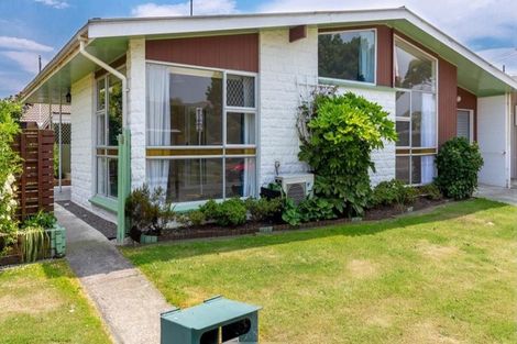 Photo of property in 21 Ida Street, Redwoodtown, Blenheim, 7201