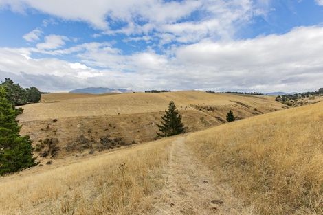Photo of property in 195 Mound Road, Broomfield, 7482