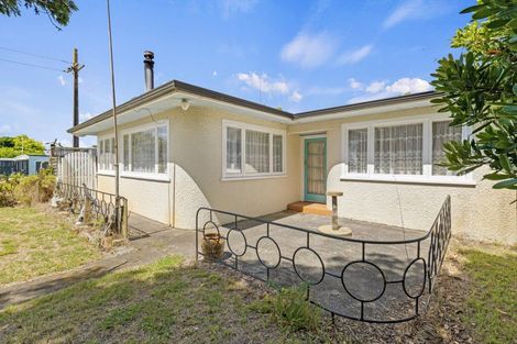 Photo of property in 49 Punga Street, Tangimoana, 4822