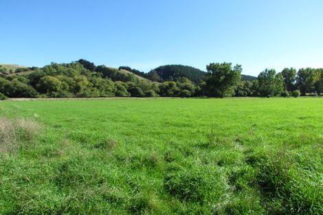 Photo of property in 1745b Longbush Road, Longbush, 5884