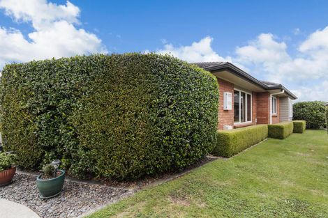 Photo of property in 18 Burr Street, Cambridge, 3434