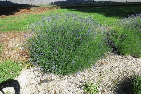 Photo of property in 131-139 Buller Road, Reefton, 7830