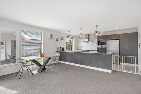 Photo of property in 58 Quartz Drive, Rolleston, 7614