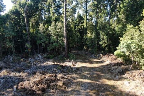 Photo of property in 5 Jackson Place, Kumara Junction, Greymouth, 7882