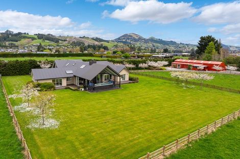 Photo of property in 100 Wingatui Road, Mosgiel, 9024