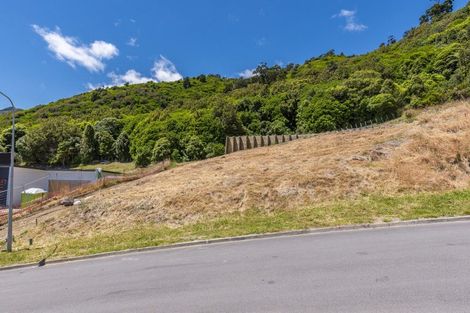 Photo of property in 43 Wilson Way, Waikanae, 5036