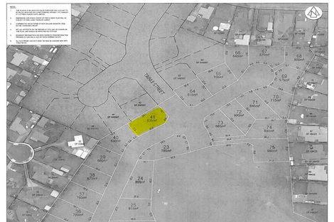 Photo of property in 53 Tainui Street, Levin, 5510