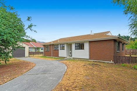Photo of property in 156 Waenga Drive, Cromwell, 9310