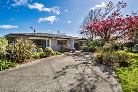 Photo of property in 53 Gamman Mill Road, Oropi, Tauranga, 3173