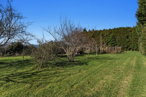Photo of property in 501 Paerata Ridge Road, Waiotahe, Opotiki, 3198