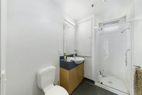 Photo of property in Hanson House, 13/27 Hanson Street, Mount Cook, Wellington, 6021