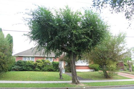 Photo of property in 51 Mcleod Street, Elderslea, Upper Hutt, 5018