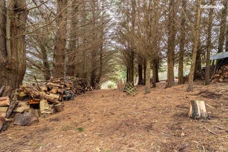 Photo of property in 49 Raynbird Street, Company Bay, Dunedin, 9014