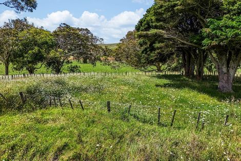 Photo of property in 603 Te Akau Road South, Te Akau, Ngaruawahia, 3793