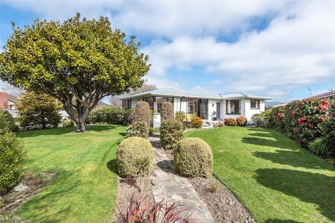 Photo of property in 19 Maple Street, Bishopdale, Christchurch, 8053