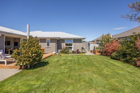 Photo of property in 27 Pegasus Main Street, Pegasus, 7612